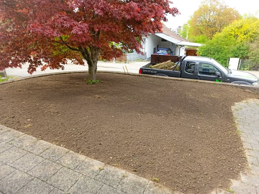 Dubach Garten Kundengärtner Blumenrasen