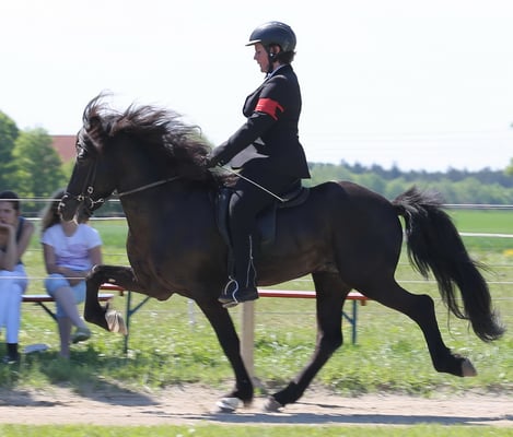 Eva Menzinger auf Gautrekur frá Torfastödum