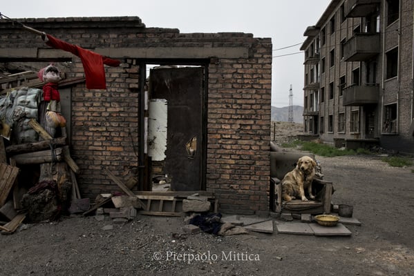 While living in the semi-evacuated town of Qiabuqi, the dog of Kang Jinshan enjoys all the available commodities