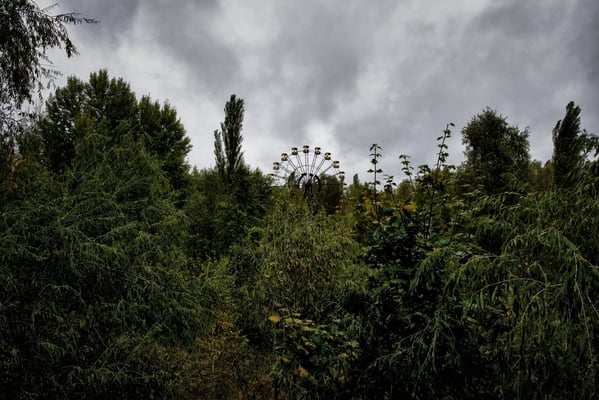 The ferris wheel submerged by nature, Pripyat.  After 30 years of abandonment, nature has taken possession of the Chernobyl exclusion zone. 