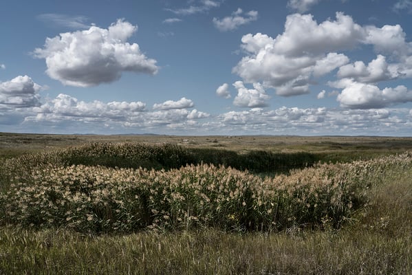 Ground zero, at the epicenter of the Semipalatinsk Polygon, where the first atomic bomb was exploded. This site in one of the most contaminated place in the world.