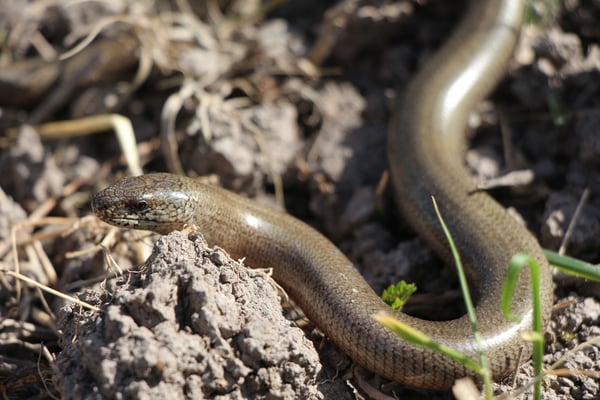 Foto: Julia Römheld