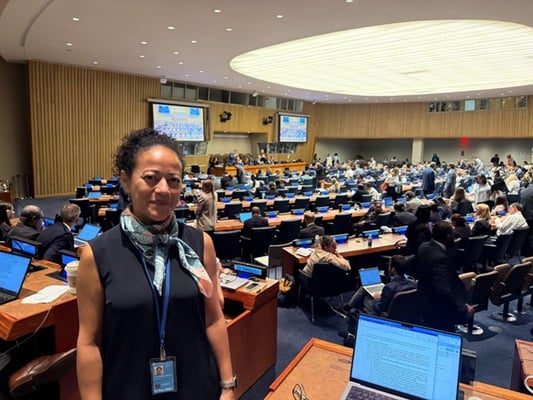 Liliana Rodriguez Cortes at the PrepCom I, UN Headquarters, New York (Credit: Liliana Rodriguez Cortes)