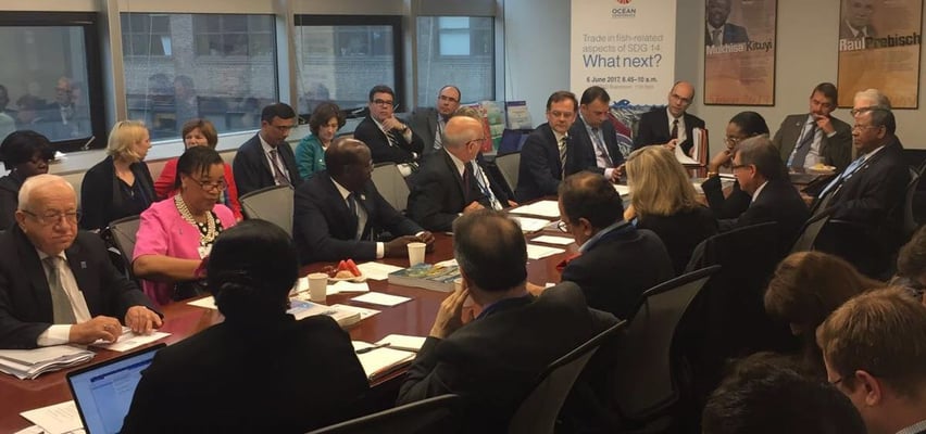 6th June: Trade in fish related aspects of SDG 14: What next? High level Dialogue with Permanent Representatives in New York; Photo credit: D Vivas Eugui