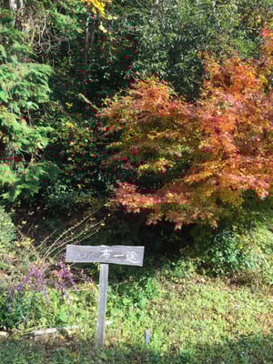 柿渋染め布一途の看板
