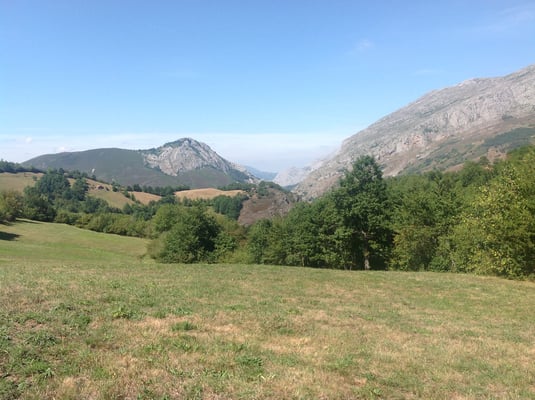Hayedo de Montegrande. Teverga. Valles del Oso. Asturias