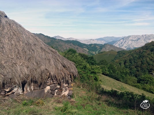Braña de Tuiza. Teverga. Valles del Oso