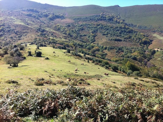Puertos de Marabio. Teverga. Asturias