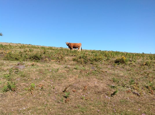 Ruta a Cuevallagar (o Cuellagar), Paisajes de Proaza-Yernes y Tameza--Teverga y Grado. Asturias