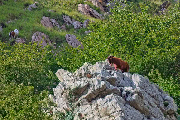 Ruta de las Xanas. Villanueva de Santo Adriano