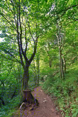 Ruta de las Xanas. Villanueva de Santo Adriano