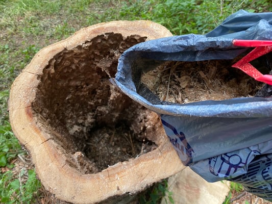 Eine Mischung aus Häckselmaterial, Sägemehl und Rindenmulch dient als Innenboden.