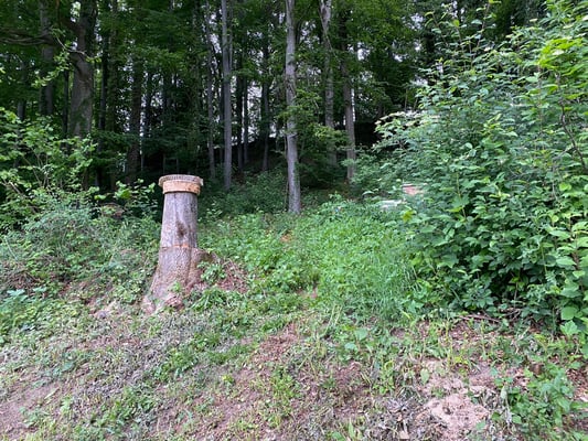 Das Volk thront über der Stadt St. Gallen. Good Luck, liebe Bienen.