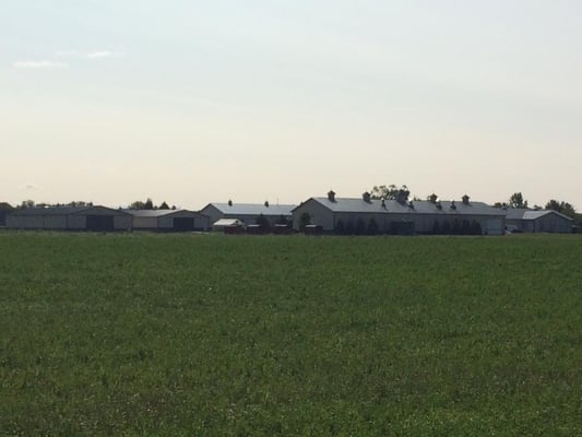 Organic plants on Standard Process farm