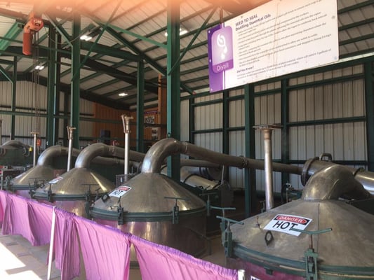 Young Living distillery