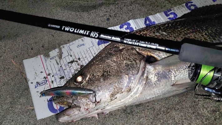 ツーリミット105モンスターバトル