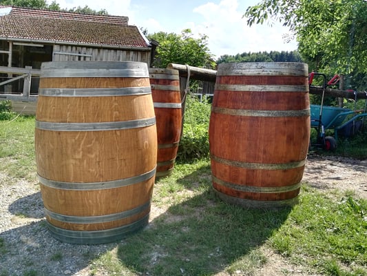 Eichefass geölt Hell links