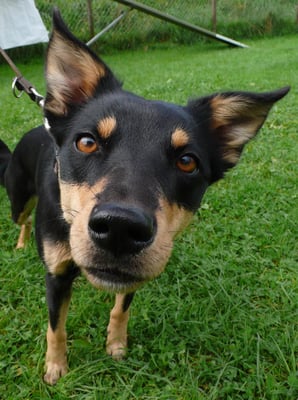 Auf Wiedersehen im 2018