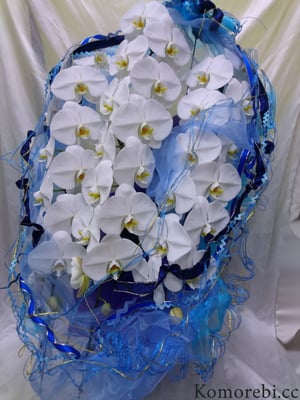 ￥30000　58x98x56　V3