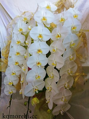 ￥30000　53x104x52　ロイヤルシルク