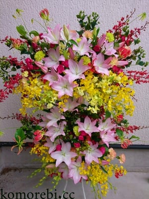 ￥20000　118x189x40