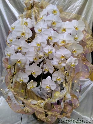 ￥50000　60x110x56　V3