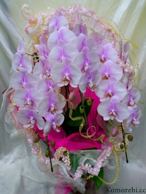 ￥18000　56x89x41　HARUKA