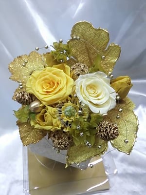 ￥4500（ケース付）15x20x15