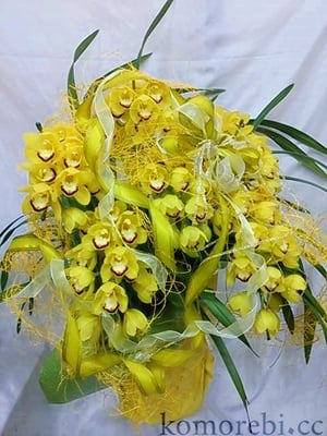 ￥15000　69x80x53　スプリングナイト・ディープインパクト