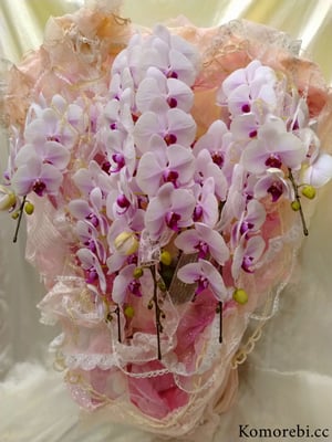 ￥25000　54x85x46　キヌのときめき