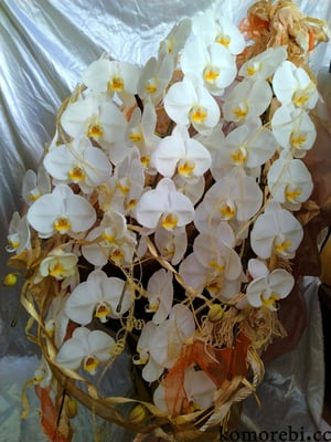 ￥50000　58x110x59　ホワイトハート