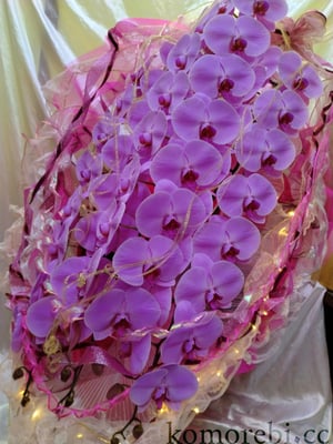 ￥34300　42x108x49　エンプレス（光るLEDリボン付き）