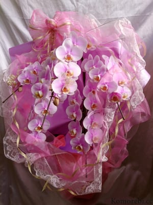 ￥20000　49x79x41　しおり