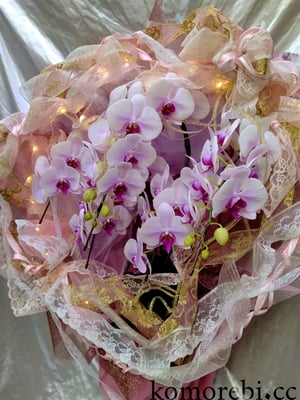 ￥30000　51x82x41　キヌのときめき（光るLEDリボン付き）