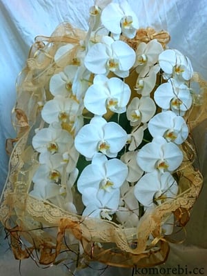 ￥20000　58x87x59　 ホワイトステージ スワン