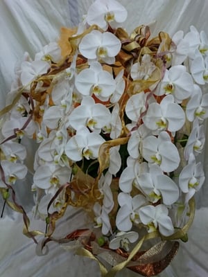 ￥30000　76x101x62　ホワイトステージ・セレス