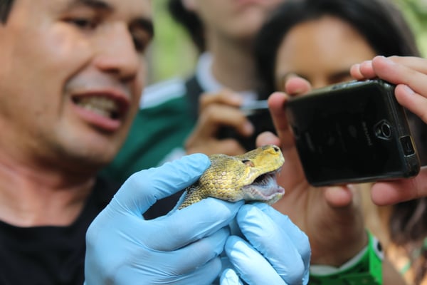 Curso de Manejo de Fauna en Piscilago (Cundinamarca). Marzo 2016