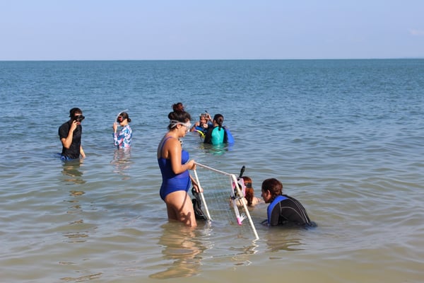 Curso de Manejo y Rescate de la Biodiversidad Marina en Isla Fuerte (Córdoba). Diciembre de 2017