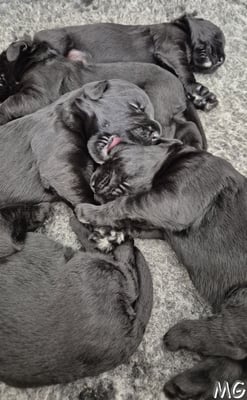 die ersten Spielversuche