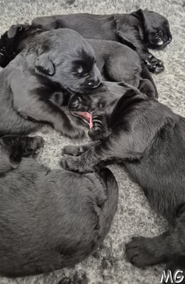 die ersten Spielversuche