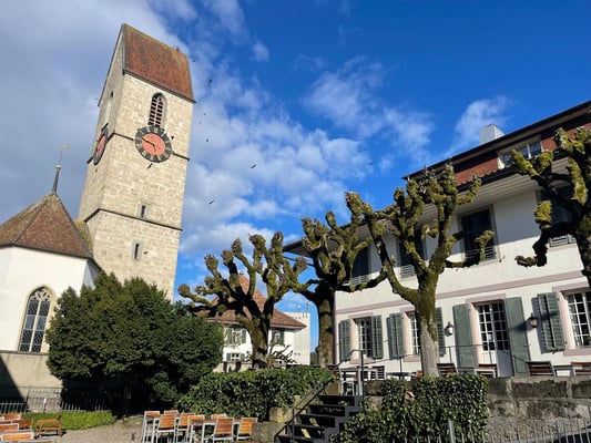 alt="Vortrag Fachreferent Inspirations-Tag Gesundheit"