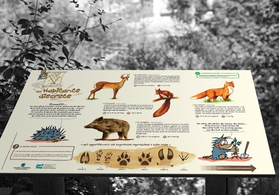 Panneaux de découverte d'un sentier dans la forêt de Buzet - Conseil Général de Haute-Garonne