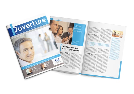 Brochure - Experts Comptables et Commissaires aux Comptes de France