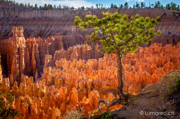 Bryce Canyon, USA