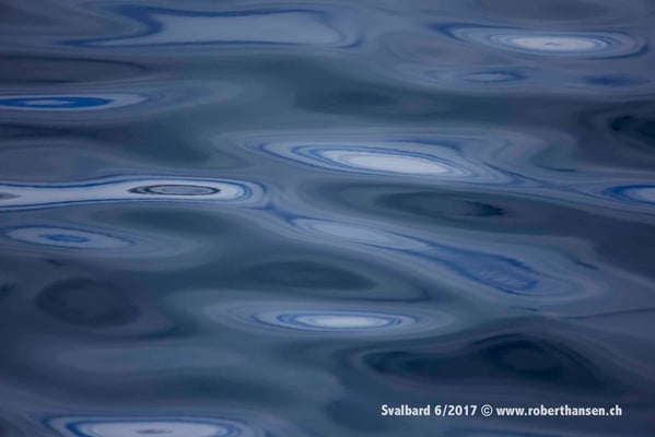 Farbenspiele © Robert Hansen