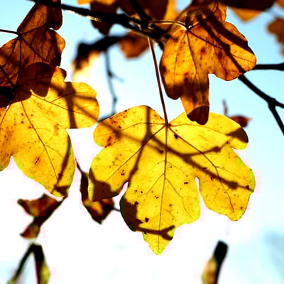 Photografie: Anja Piffaretti fängt besondere Momente ein