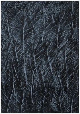 Farbstift auf Transparentpapier, ( Abdruck Blattform ) - 21 cm x 29,7 cm, - 2018 - " Natur "