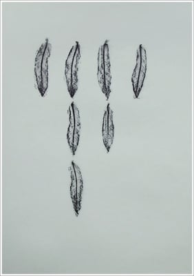 Bleistift auf Transparentpapier, ( Abdruck Blattform ) - 21 cm x 29,7 cm, - 2018 - " Natur "