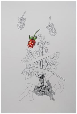 Bleistift, Farbstift auf Papier, 21 cm x 29,7 cm, - 2018 - " Natur "