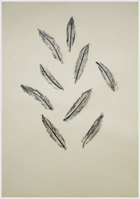 Bleistift auf Transparentpapier, ( Abdruck Blattform ) - 21 cm x 29,7 cm, - 2018 - " Natur "